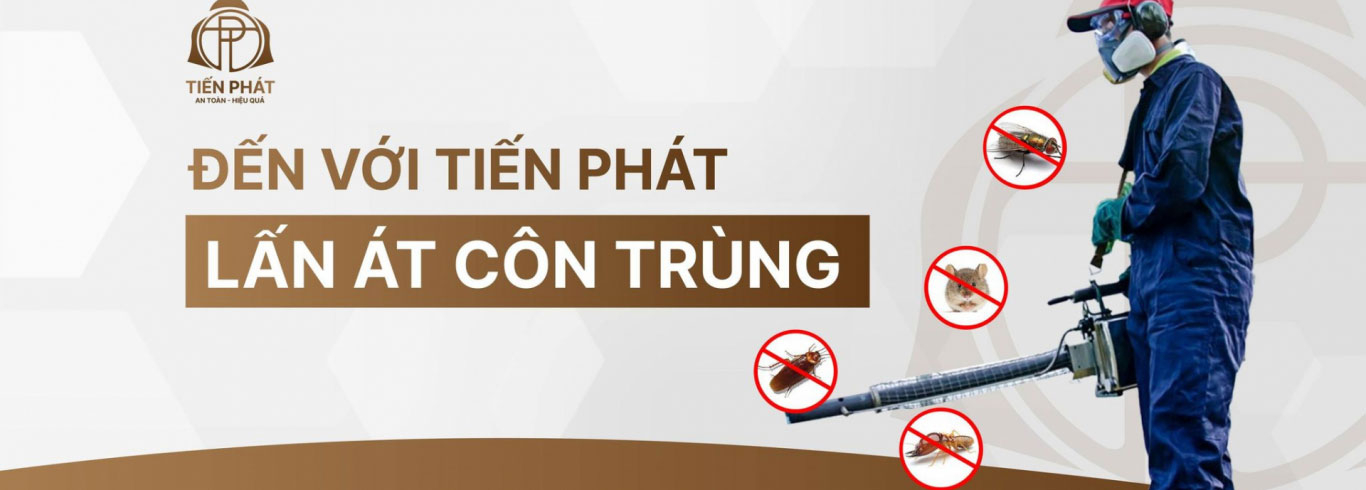 DIỆT MỐI CÔN TRÙNG TIẾN PHÁT