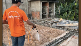 Diệt Mối Tận Gốc: Tổng Hợp 10+ Phương Pháp Hiệu Quả Nhất