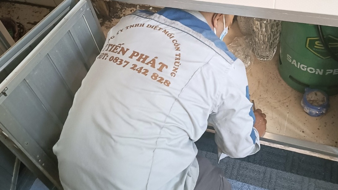 diệt mối tiến phát