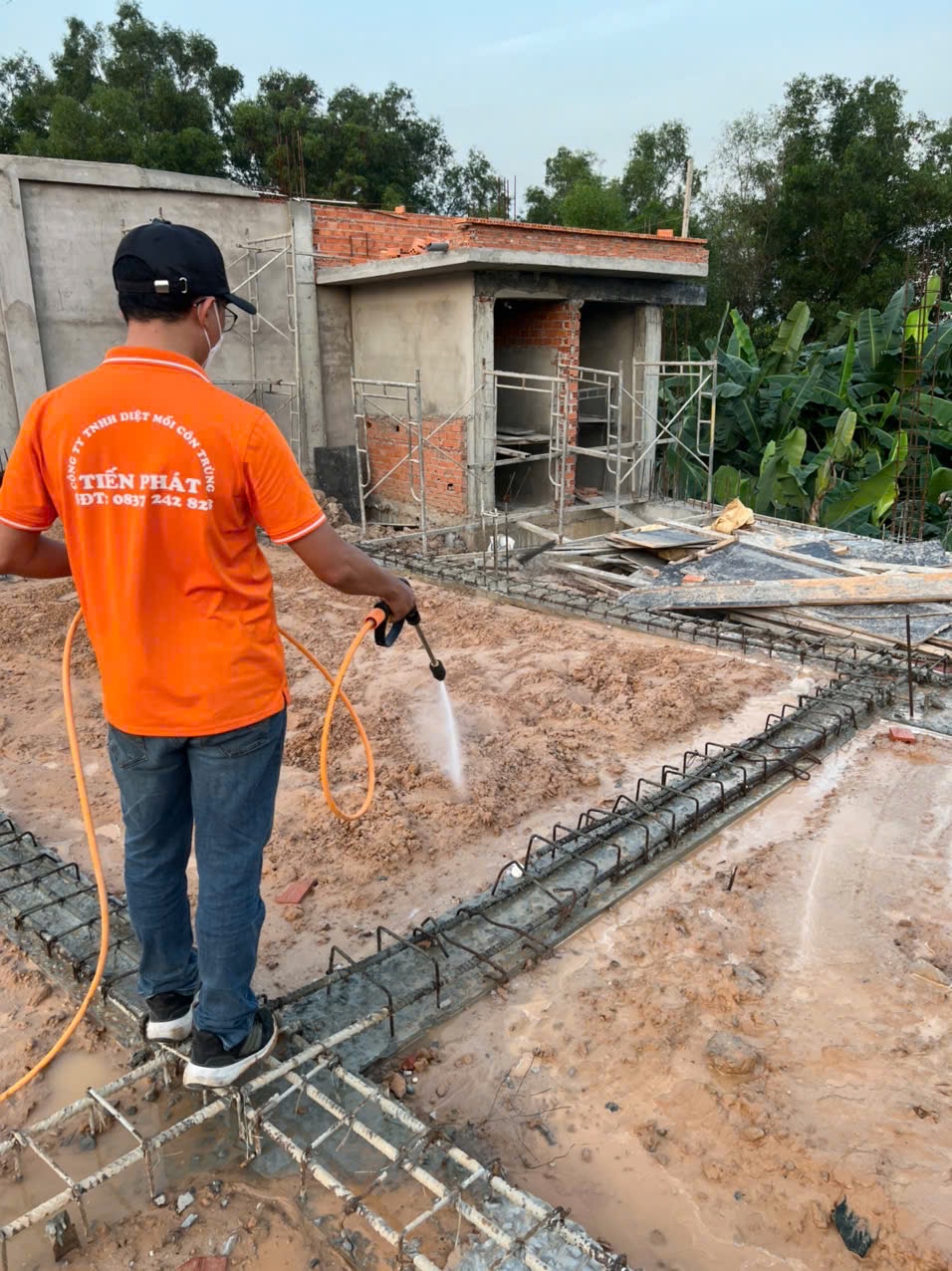 Thiệt hại do mối gây ra cho công trình xây dựng