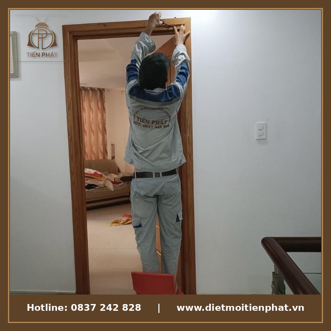 Diệt mối tận gốc Tiền Giang - Diệt Mối Tiến Phát