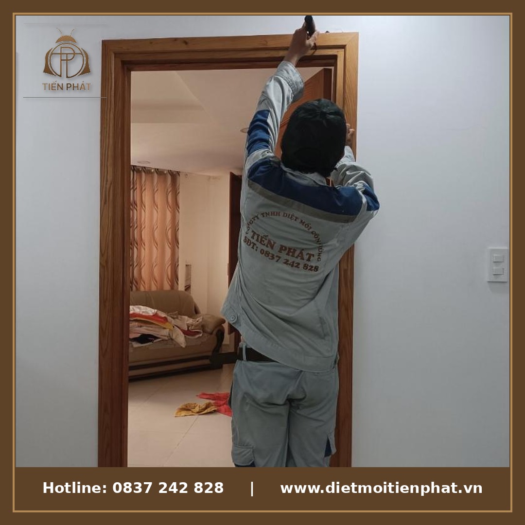 Diệt mối tận gốc Vũng Tàu - Diệt Mối Tiến Phát
