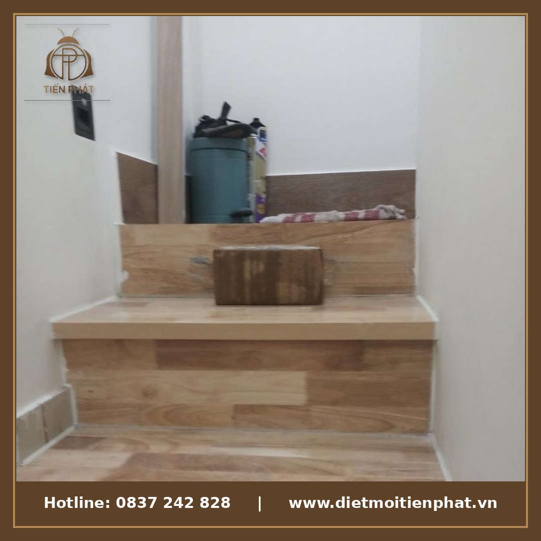 Diệt mối tận gốc Cần Thơ - Diệt Mối Tiến Phát