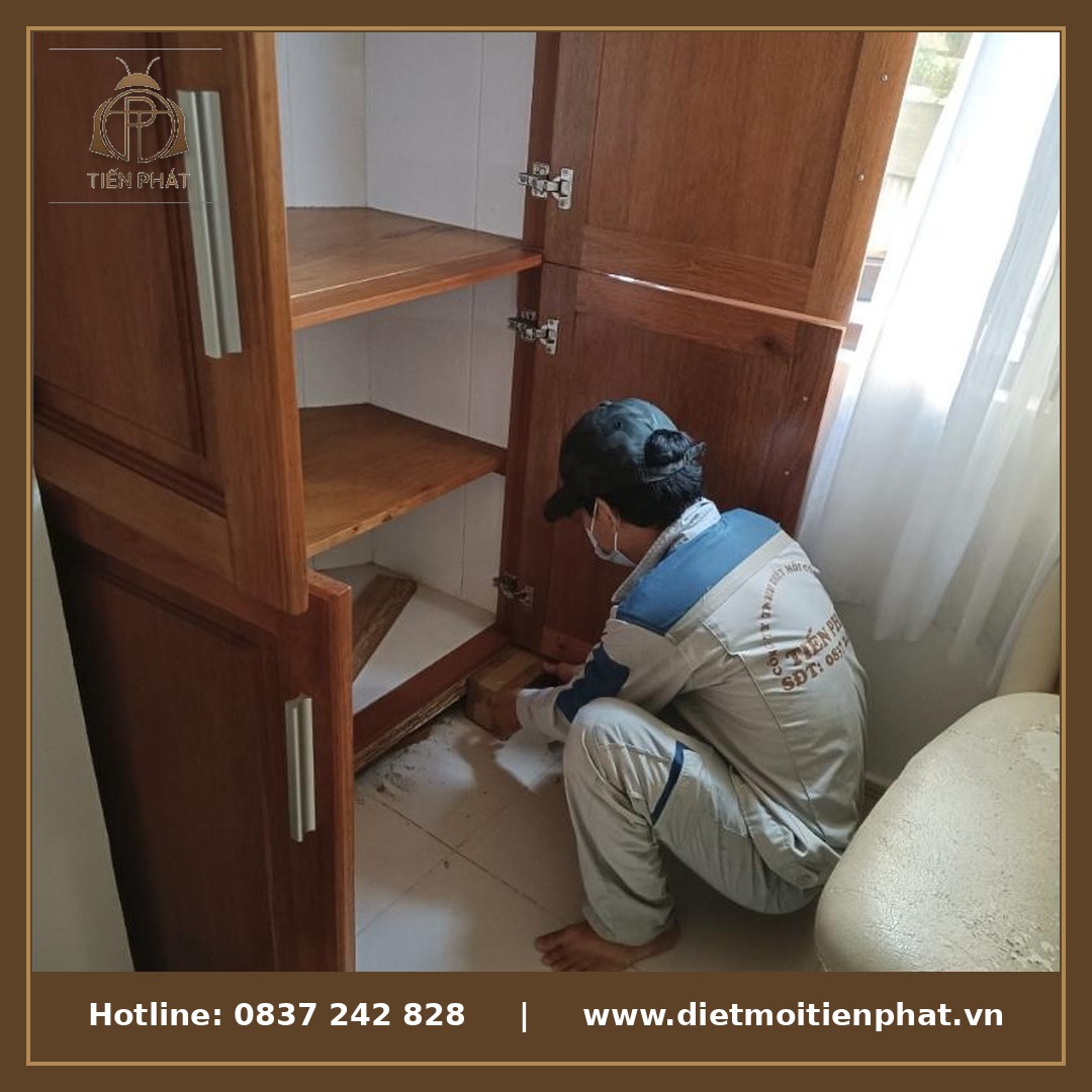 Diệt mối tận gốc Vĩnh Long - Diệt Mối Tiến Phát