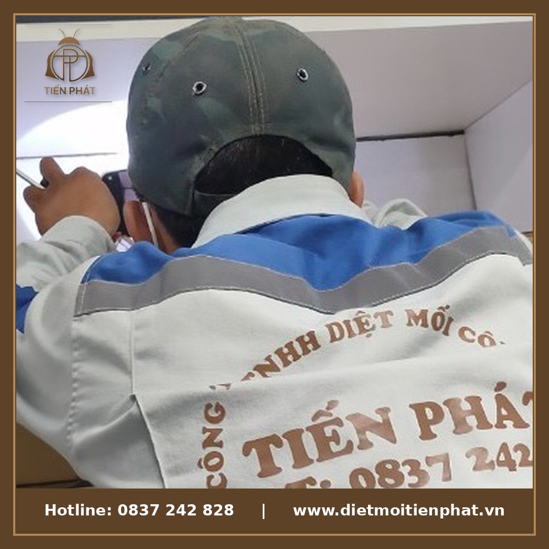 Diệt mối tận gốc Bình Phước - Diệt Mối Tiến Phát