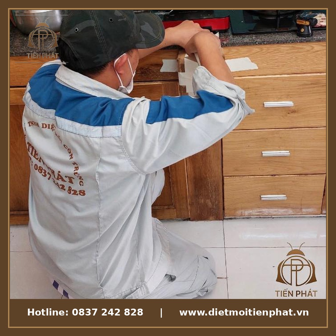 Kỹ thuật viên Tiến Phát kiểm tra kỹ tường sau khi xử lý mối, đảm bảo không còn dấu hiệu tái phát
