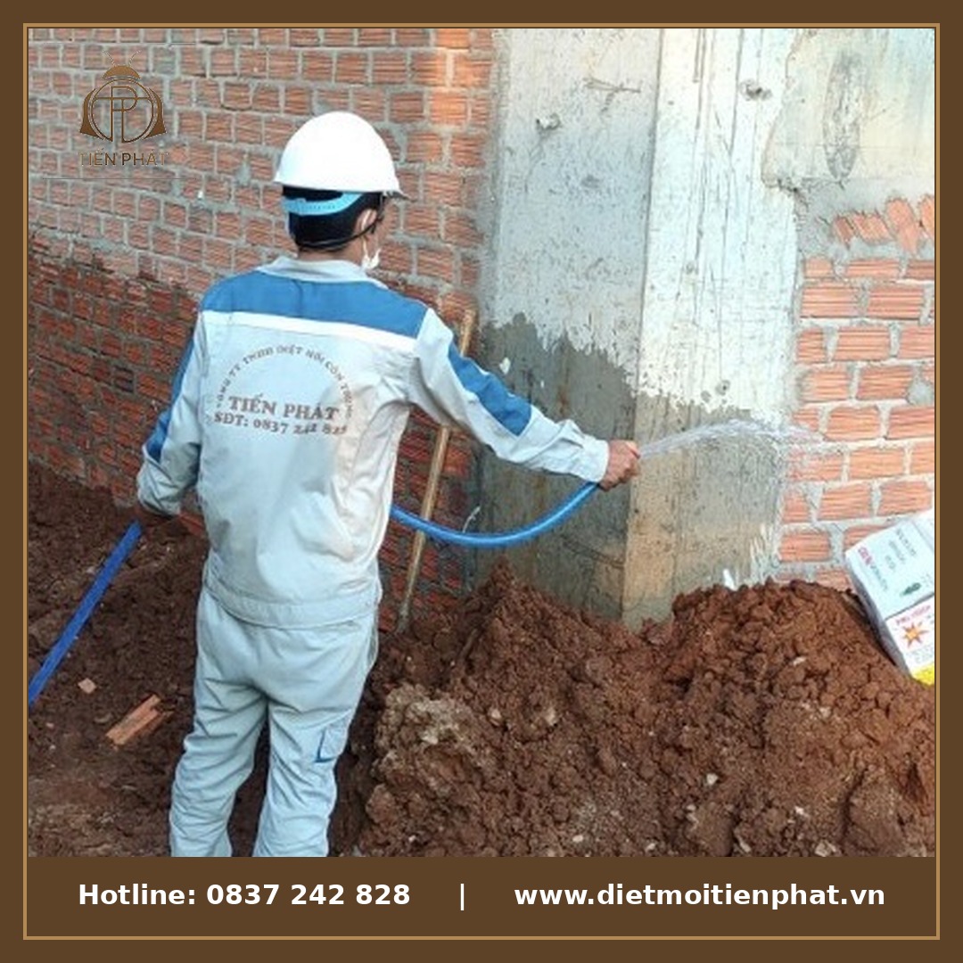 Diệt mối tận gốc Nhà Bè - Diệt Mối Tiến Phát