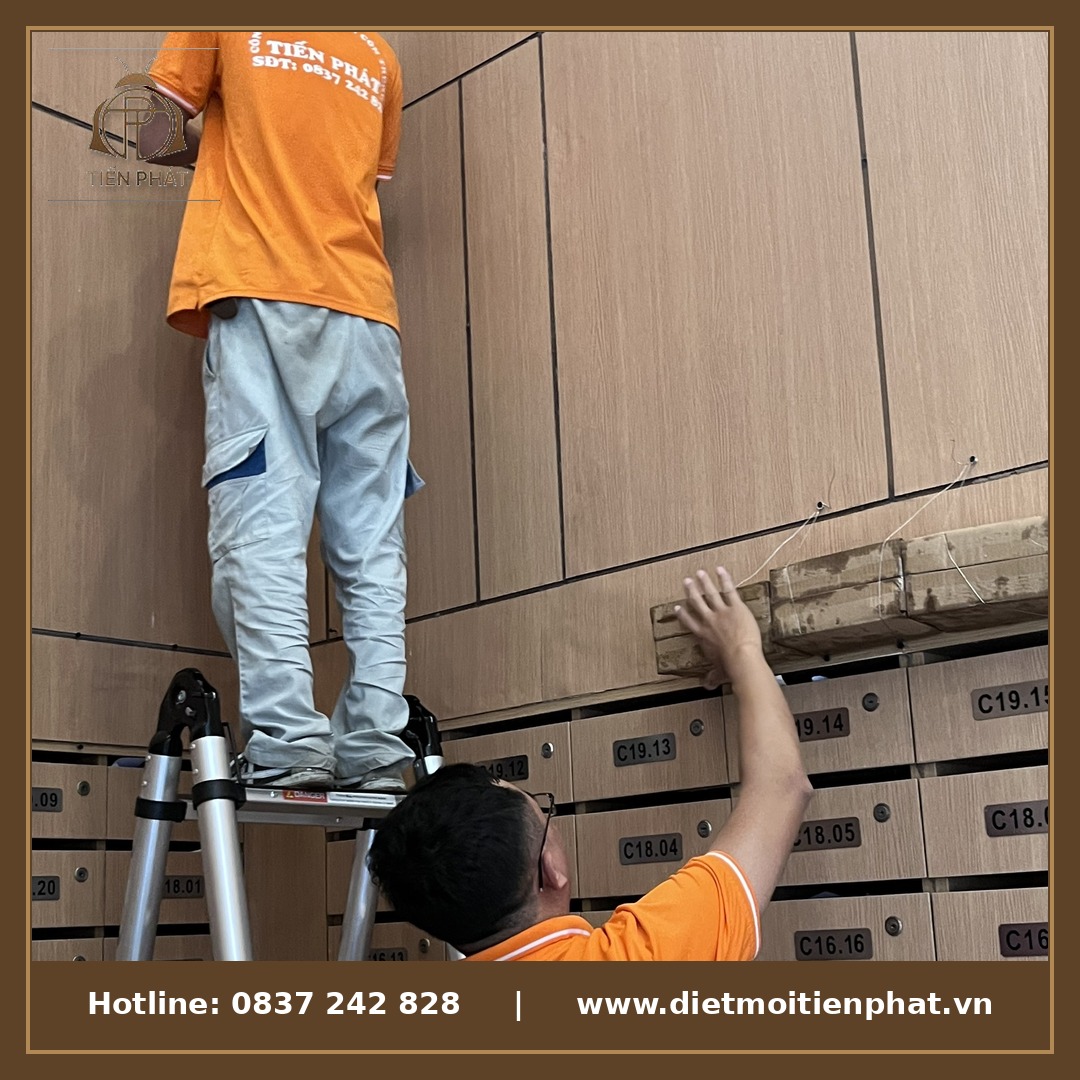 diệt mối tiến phát