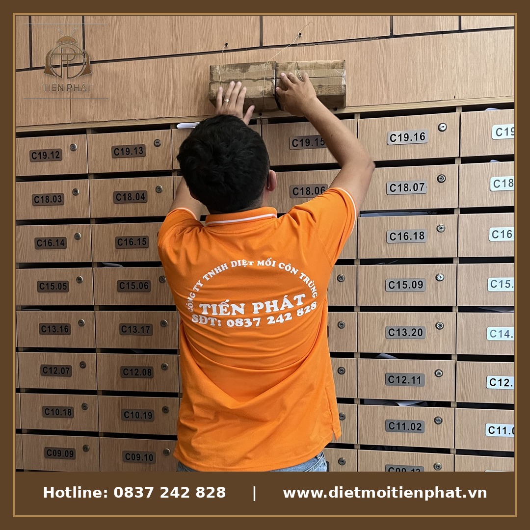 Kỹ thuật viên Tiến Phát xử lý mối tại dãy tủ lưu trữ hồ sơ