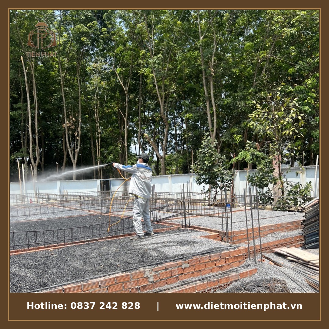 Xử lý diệt mối tận gốc tại Gia Lai