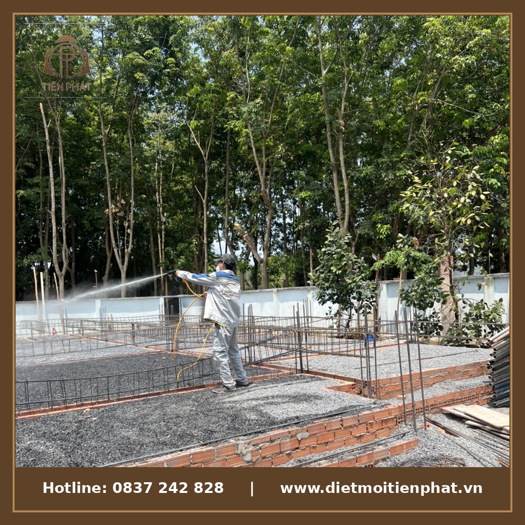 Diệt mối tận gốc Tây Ninh - Diệt Mối Tiến Phát