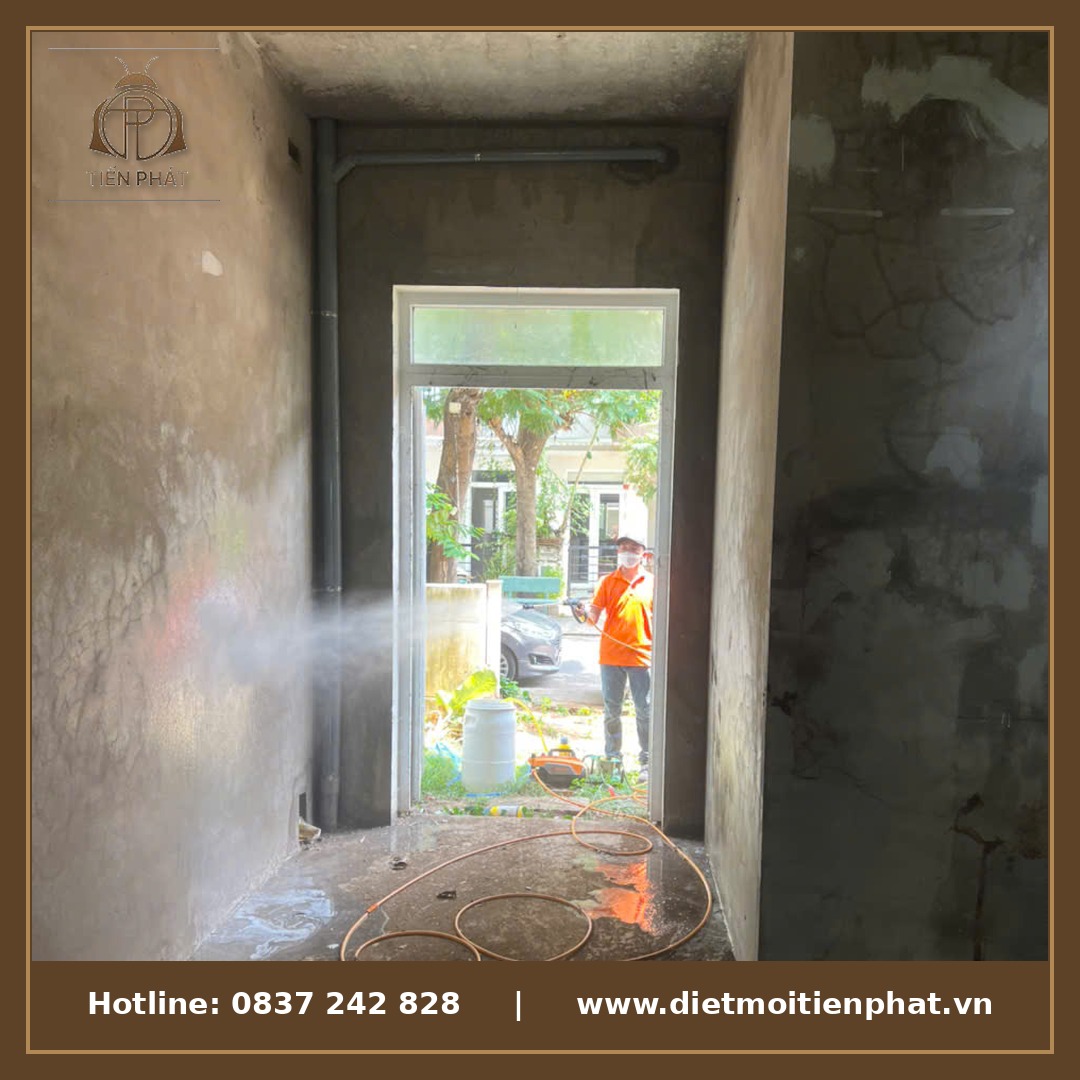 Xử lý diệt mối tận gốc tại Bình Chánh