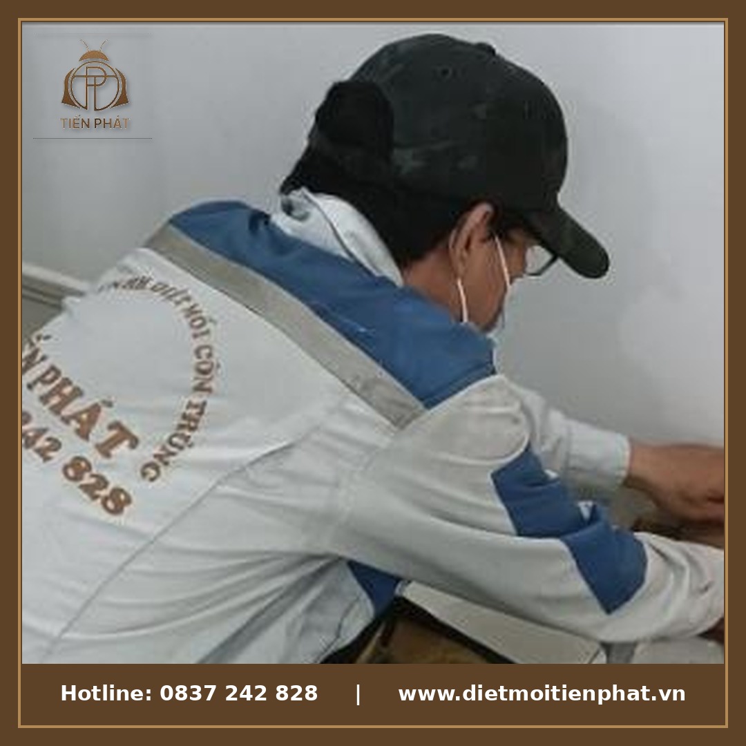 Hệ thống theo dõi mối thông minh