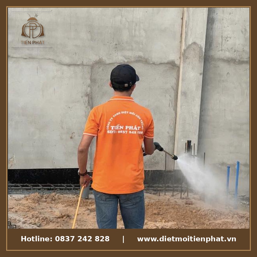 Lắp đặt hệ thống chống mối