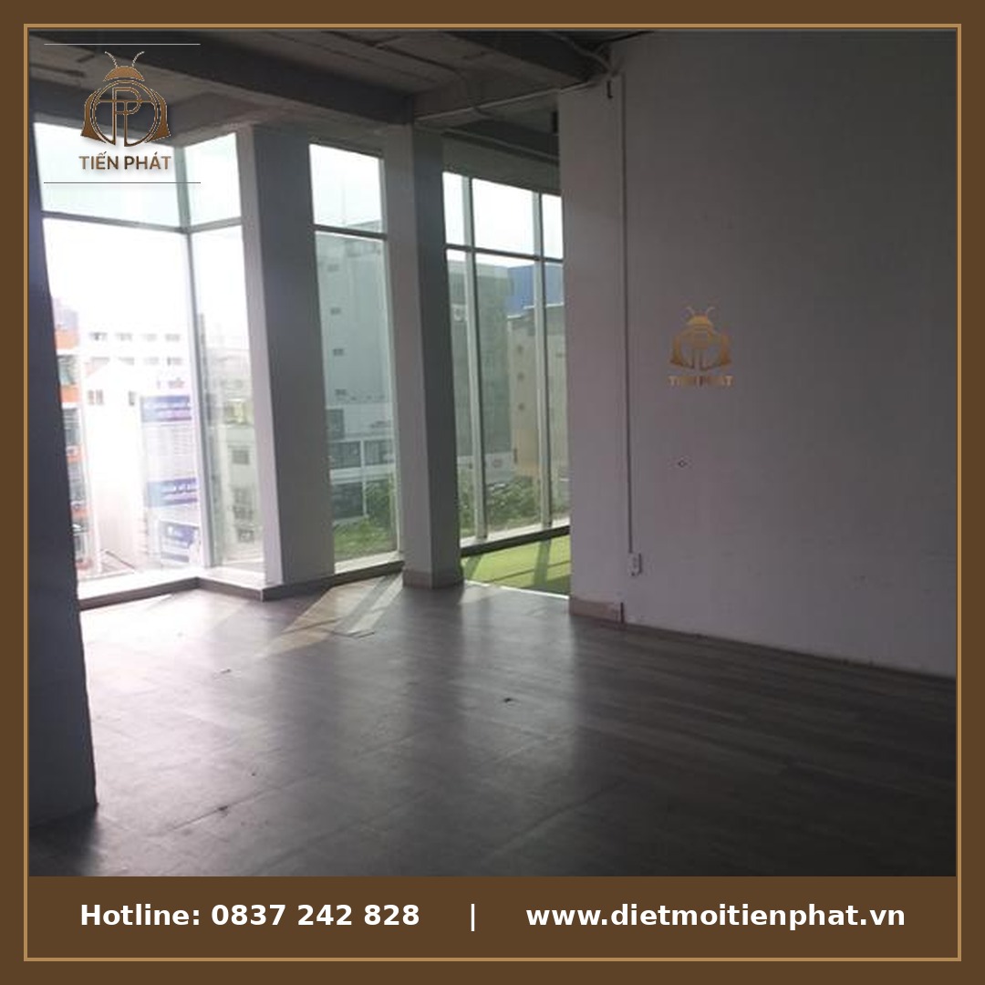 Không gian văn phòng với sàn gỗ cần diệt mối