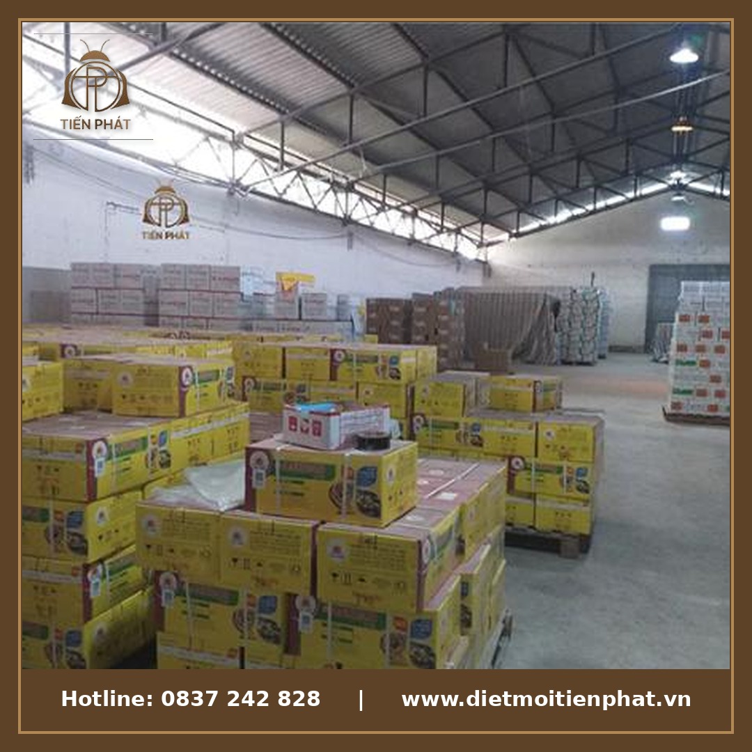Kho bãi hàng hóa với pallet gỗ - môi trường dễ bị mối tấn công