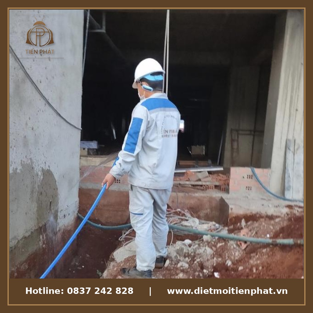 Kỹ thuật viên Tiến Phát khảo sát công trình trước khi phòng chống mối