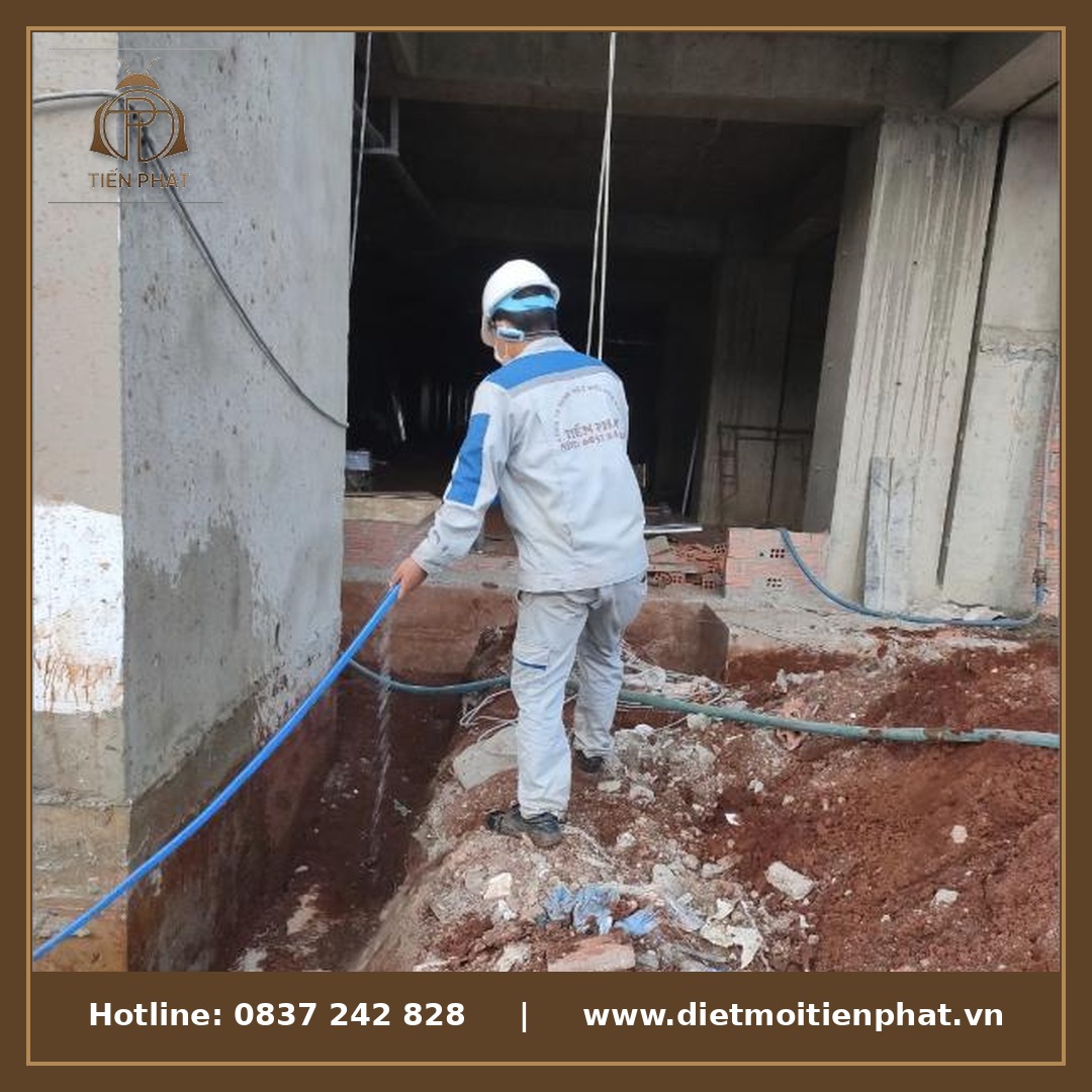 Hệ thống trạm bẫy mối theo dõi lâu dài