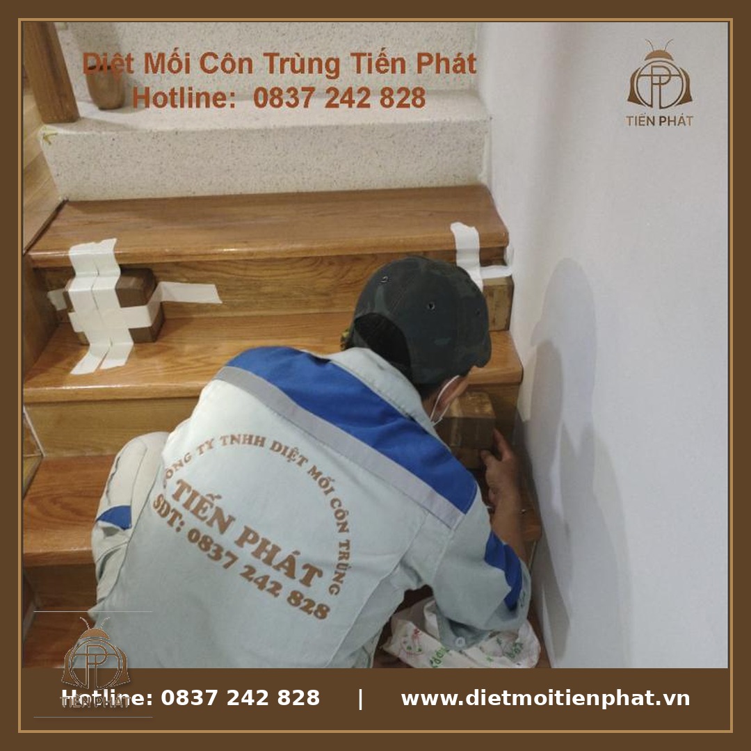 Kỹ thuật viên Tiến Phát xử lý mối an toàn trong nhà