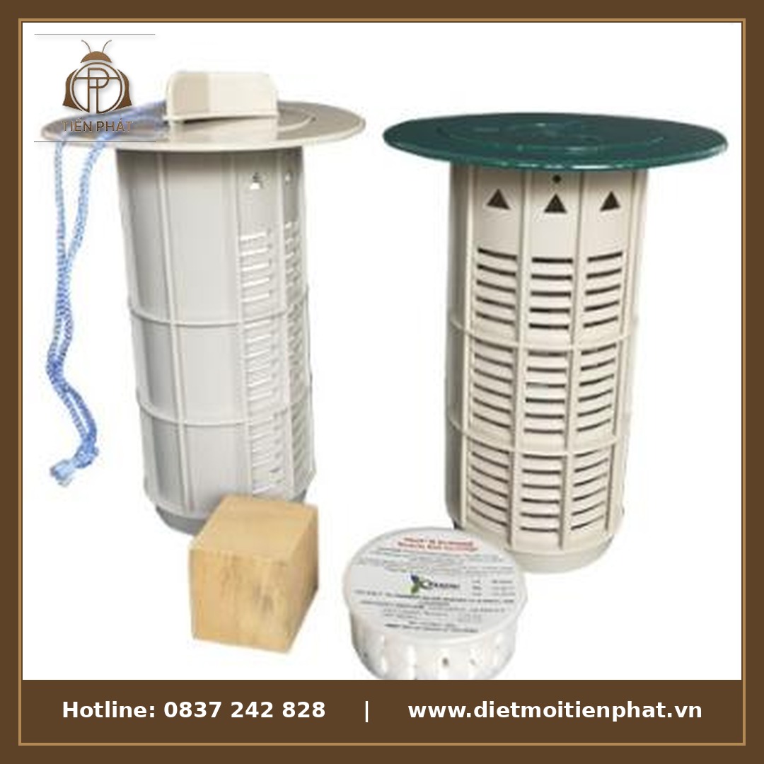 Hệ thống hộp nhử sinh học diệt mối kín đáo